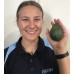 NEW SEASONS MEDIUM HASS AVOCADOS Each NORTHLAND Grown